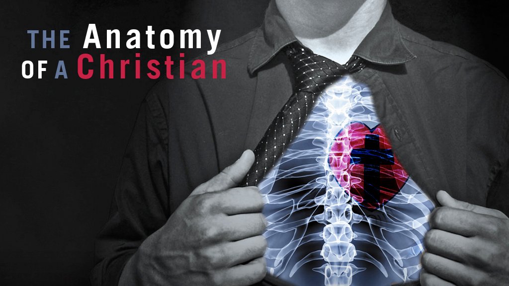 Anatomy of a Christian